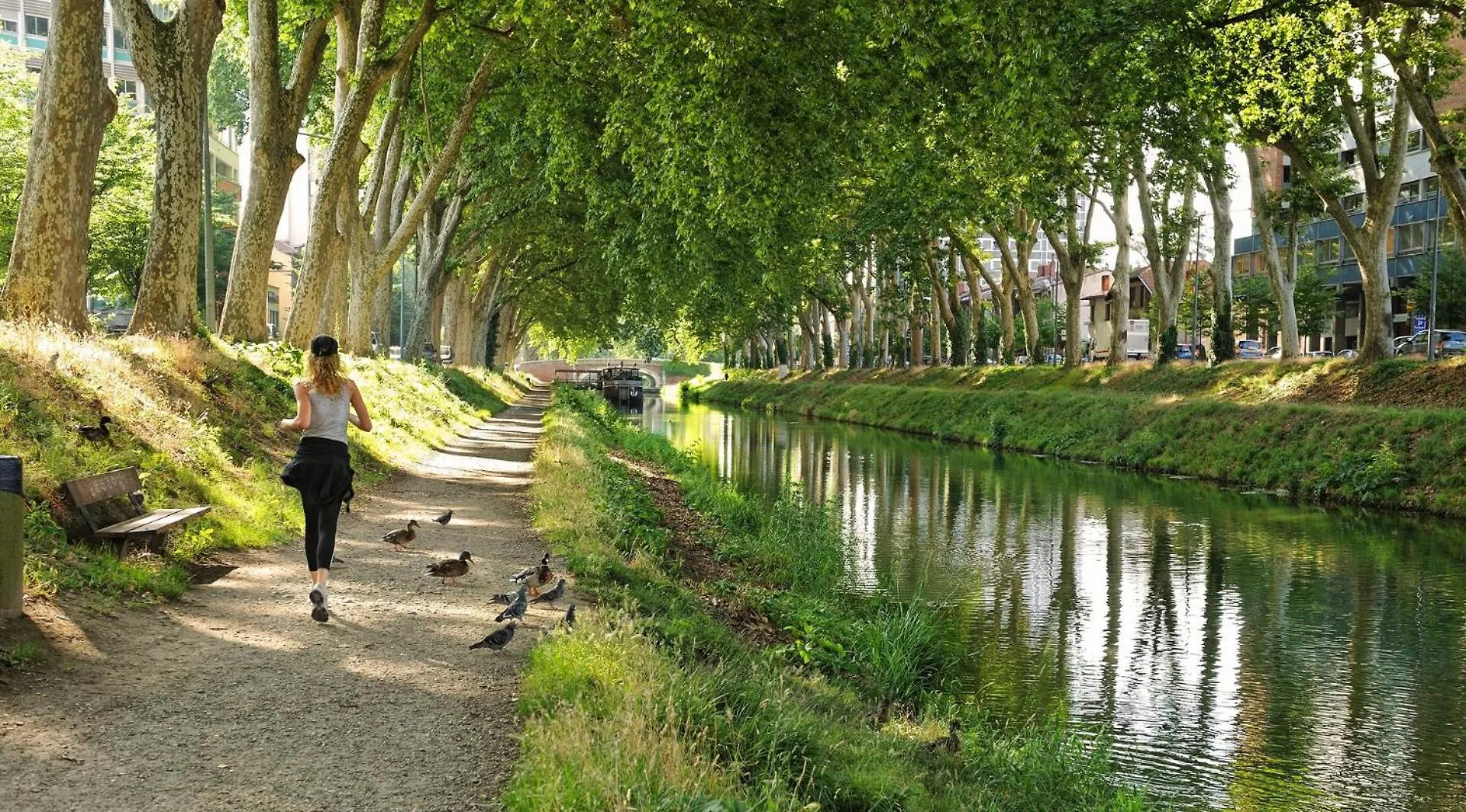 Saint-Sernin - Centre-Ville - Calme - Wifi Fibre location